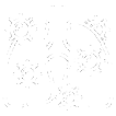 Tuberculose